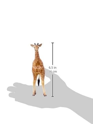 Collecta Wildlife Reticulated Giraffe Toy Figure - Authentic Hand Painted Model