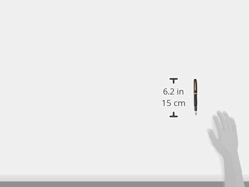 Platinum Fountain Pen, Century Black in Black, Extra Fine Point, PNB-13000#1-1