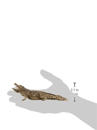 Scheich Crocodile, Multicolour