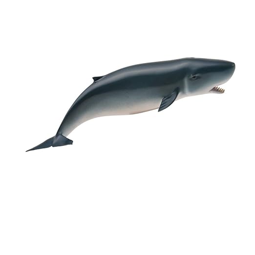 Collecta Sea Life Pygmy Sperm Whale #88653