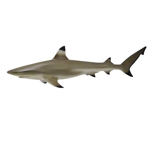 Collecta Sea Life Blacktip Reef Shark Toy Figure - Authentic Hand Painted Model