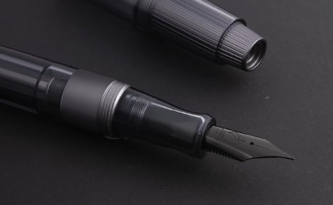 Asvine Natami Vacuum Filled Fountain Pen Titanium & Acrylic
