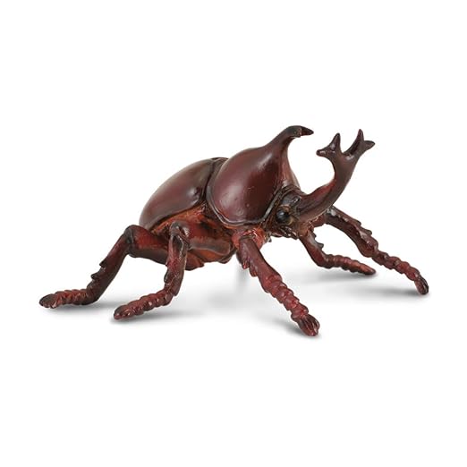 Collecta Insects Rhinoceros Beetle Toy Figure - Authentic Hand Painted Model