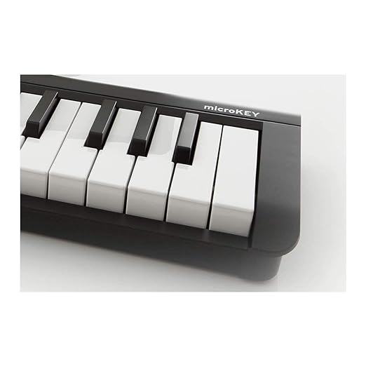 Korg Keyboard Amplifier, 61-Key (MICROKEY2-61),Black