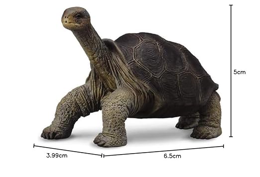 Collecta Pinta Island Tortoise Figure
