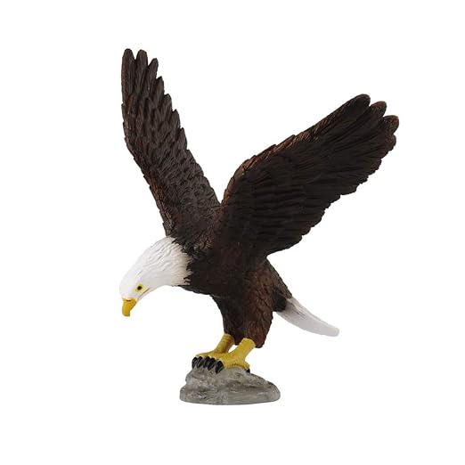 Collecta Wildlife American Bald Eagle Toy Figure - Authentic Hand Painted Model