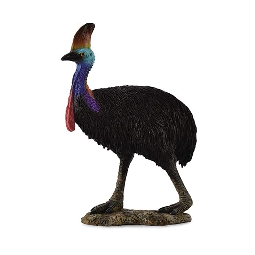Collecta Wild Life Cassowary Toy Figure