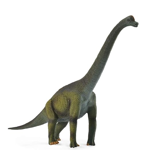 Collecta Brachiosaurus Toy