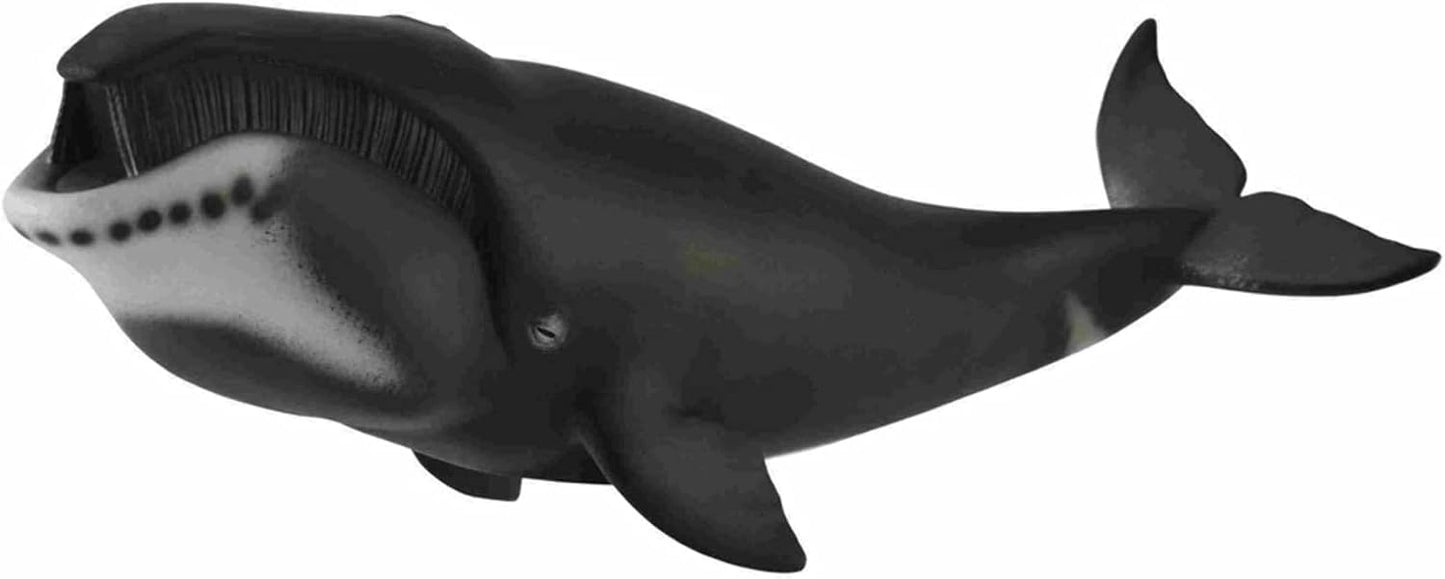 horned whale 88652