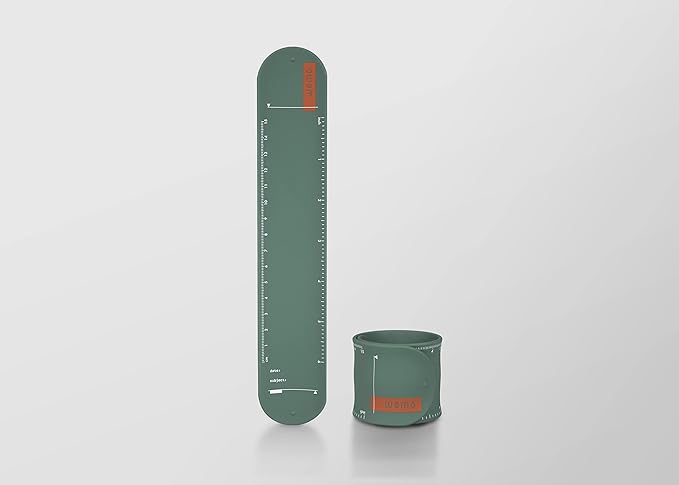 Wemo Band Type US Specification (Main Body, Blue)
