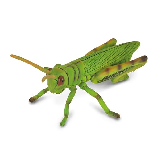 Collecta Insects Grasshopper Toy Figure - Authentic Hand Painted Model