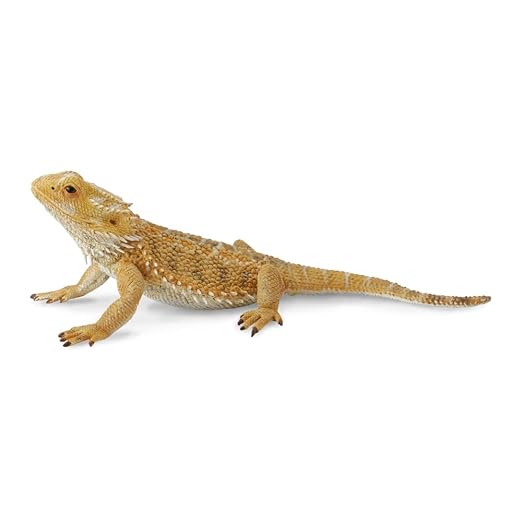 Collecta Bearded Dragon Lizard Figure