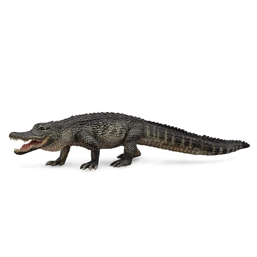 Collecta Wildlife American Alligator Toy Figure - Authentic Hand Painted Reptile Model