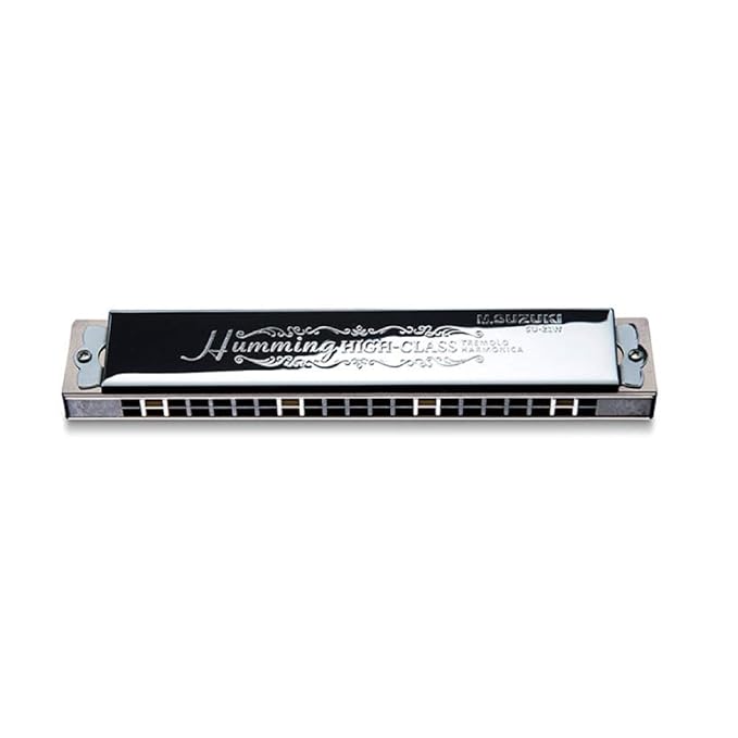 Suzuki 21 hole double sound Harmonica Suzuki high quality Hamming SU - 21 W HiD style
