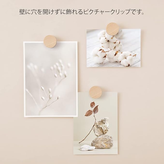 Midori 35497006 DESIGNPHIL, Picture Clip, Wood, Natural