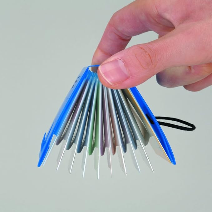 Lihit Lab Card Case Point Card Holder Blue 20 Cards Storage A5003-8