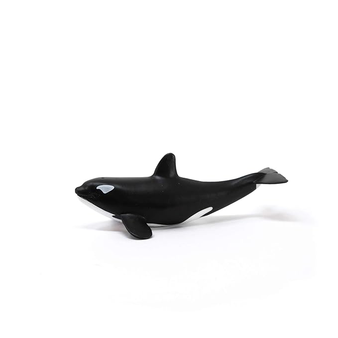 SCHLEICH Wild Life, Animal Figurine, Animal Toys for Boys and Girls 3-8 Years Old, Baby Orca
