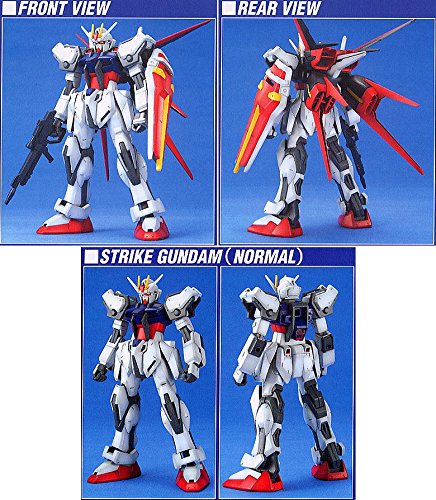 Aile Strike Gundam 1/100