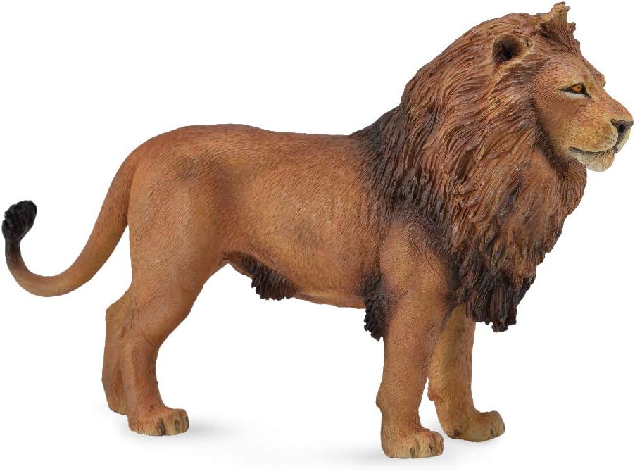 African Lion 88782