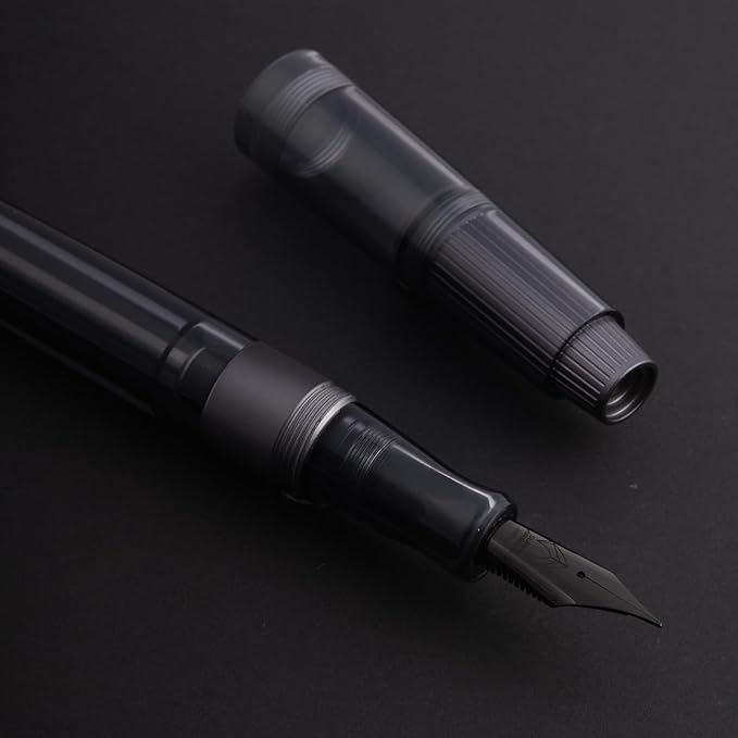 Asvine Natami Vacuum Filled Fountain Pen Titanium & Acrylic