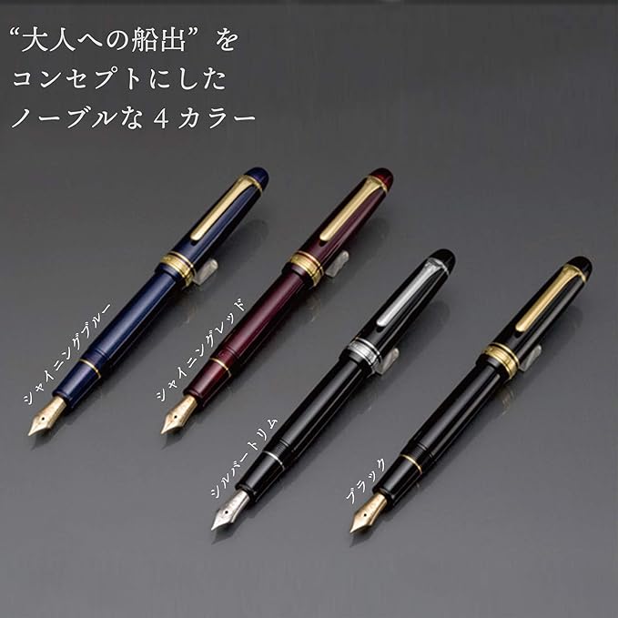 Sailor Promenade 11-1031-320 Fountain Pen (Black, Medium Fine)