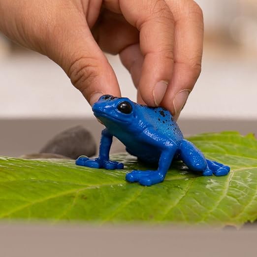 Schleich Wild Life, Wild Animal Rainforest Jungle Toys for Kids, Poison Dart Frog Toy, Blue, Ages 3+