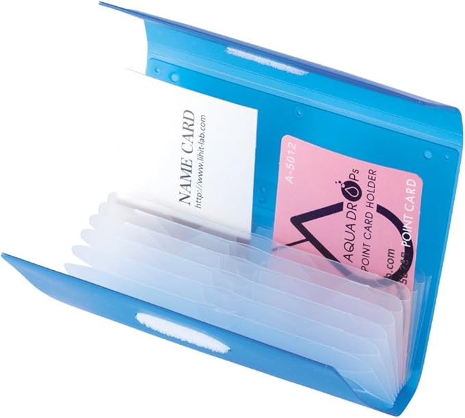 Lihit Lab Card Case Point Card Holder 20 Cards Milky White A5012-1
