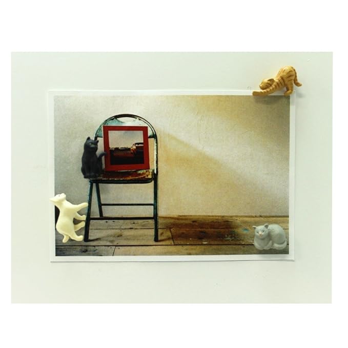 Midori Mini Magnet, Cats (49754006)