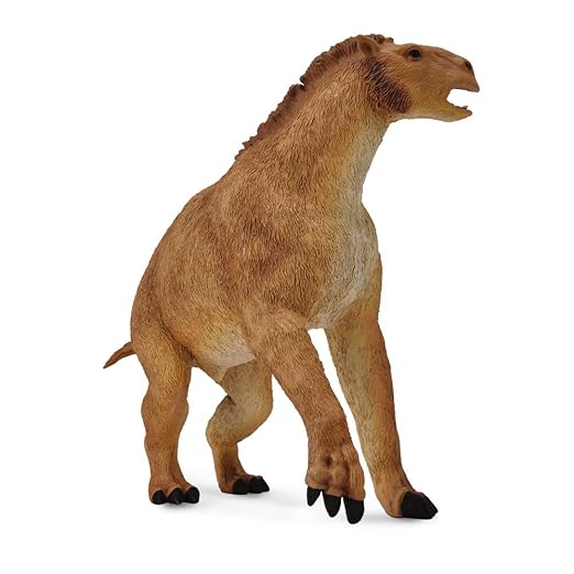 Getting Fit 88736 - Moropus Collecta