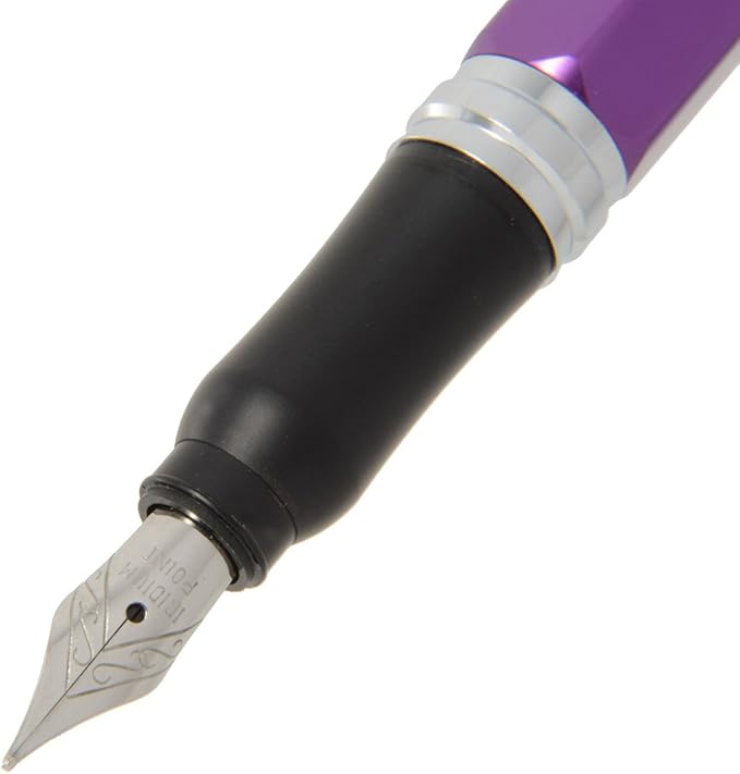 OHTO Fountain Pen Dude FF-15DD-VT Violet