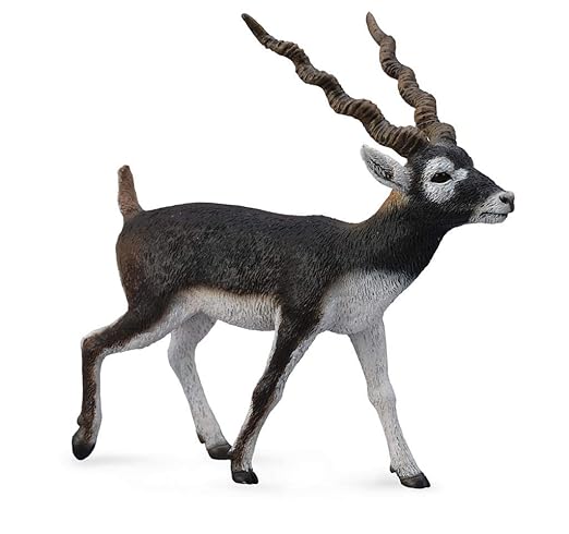 Collecta Black Buck Figure