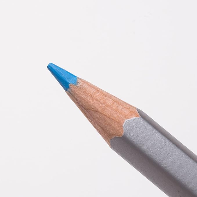 Staedtler 125 M12 Karat Aquarell Colored Pencils, 12 Colors, Watercolor Pencils