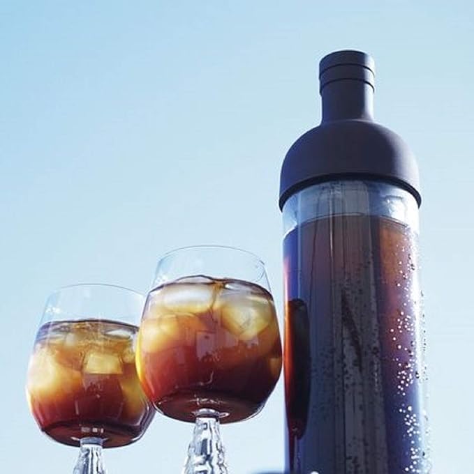 Hario Cold Brew Iced Coffee Filter in Bottle (650ml, Brown) (FIC-70-CBR)