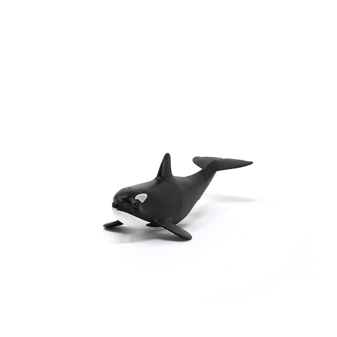 SCHLEICH Wild Life, Animal Figurine, Animal Toys for Boys and Girls 3-8 Years Old, Baby Orca