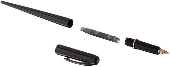Platinum Fountain Pen, Black Body (DPQ-700A#1)