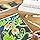 Kokuyo KE-SP15-30 PASTA Graphic Marker, Set of 30 Colors, Water-Based
