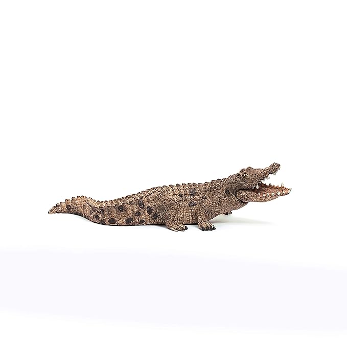 Scheich Crocodile, Multicolour