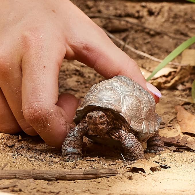 Schleich Wild Life, Animal Figurine, Animal Toys for Boys and Girls 3-8 Years Old, Giant Tortoise