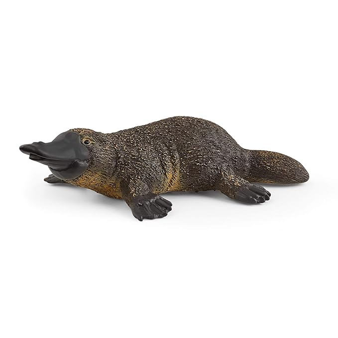Schleich Wild Life, Animal Figurine, Animal Toys for Boys and Girls 3-8 years old, Platypus