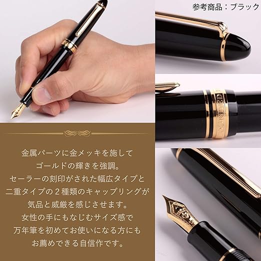Sailor Profit Standard 21 Fountain Pen Music Nib Black 11-1521-920