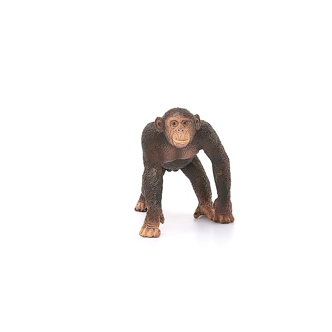 Schleich 14817 Chimpanzee, Male