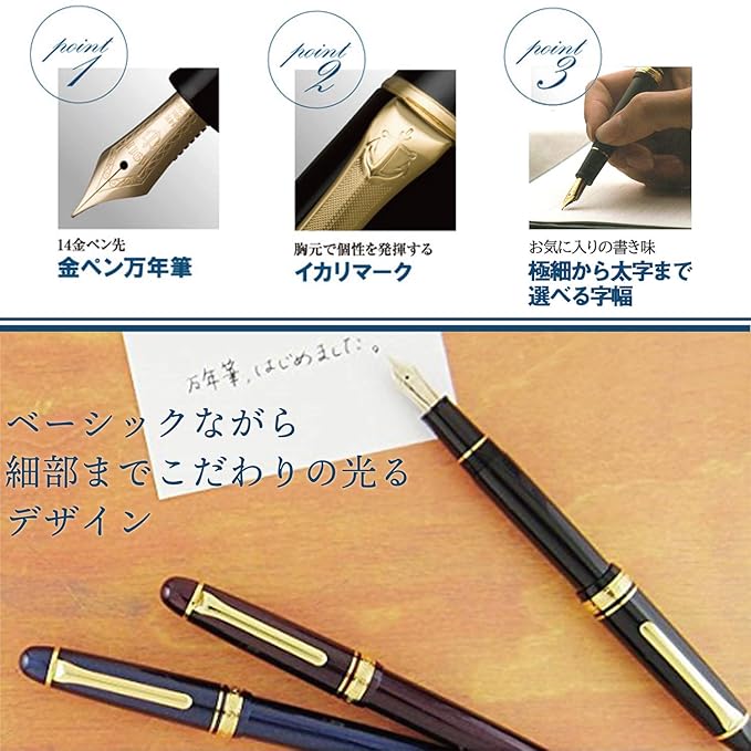 Sailor Promenade 11-1031-320 Fountain Pen (Black, Medium Fine)