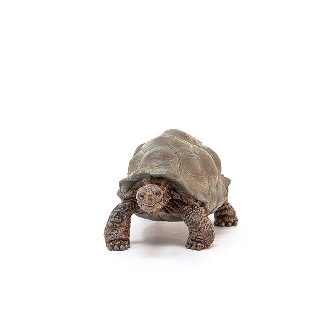 Schleich Wild Life, Animal Figurine, Animal Toys for Boys and Girls 3-8 Years Old, Giant Tortoise