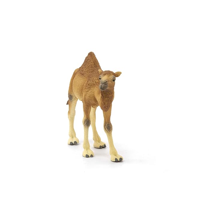 Schleich Wild Life Arabian Camel Dromedary Toy Figurine for Kids Ages 3-8 with 1 Hump