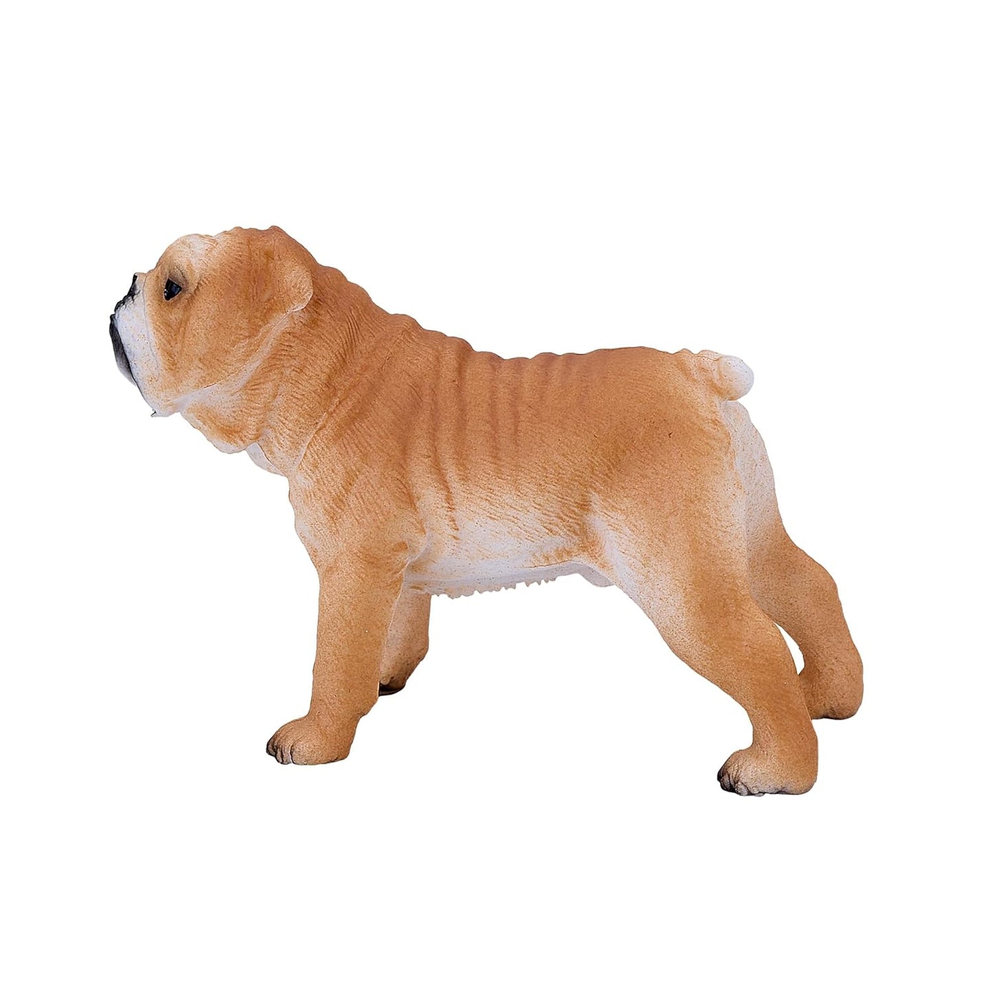 Mojo English Bulldog Realistic International Wildlife Toy Replica Hand Painted Figurine