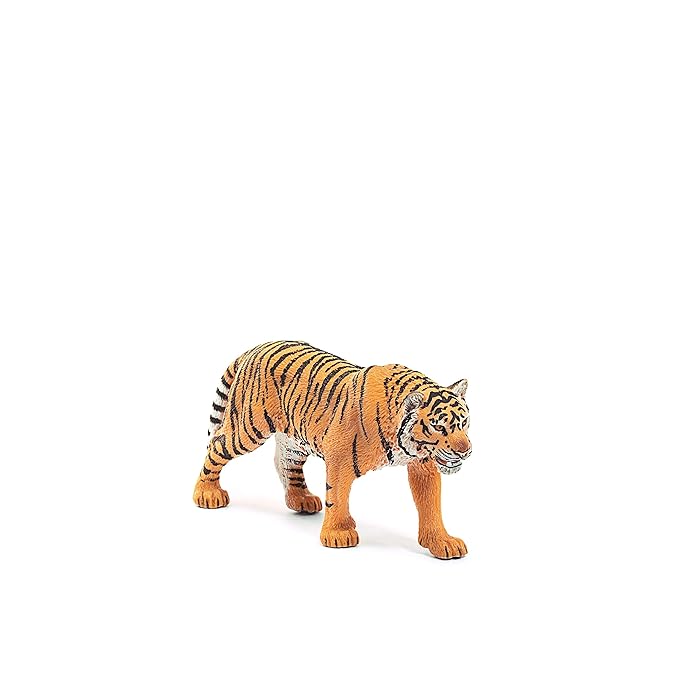 Scheich Tiger, Multi Color