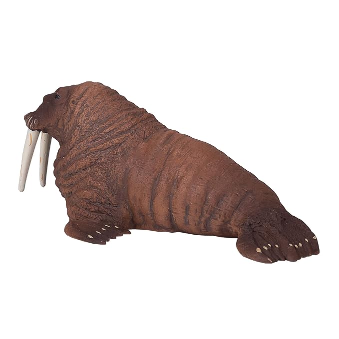 Mojo Walrus Realistic International Wildlife Hand-Painted Toy Figure (387209)
