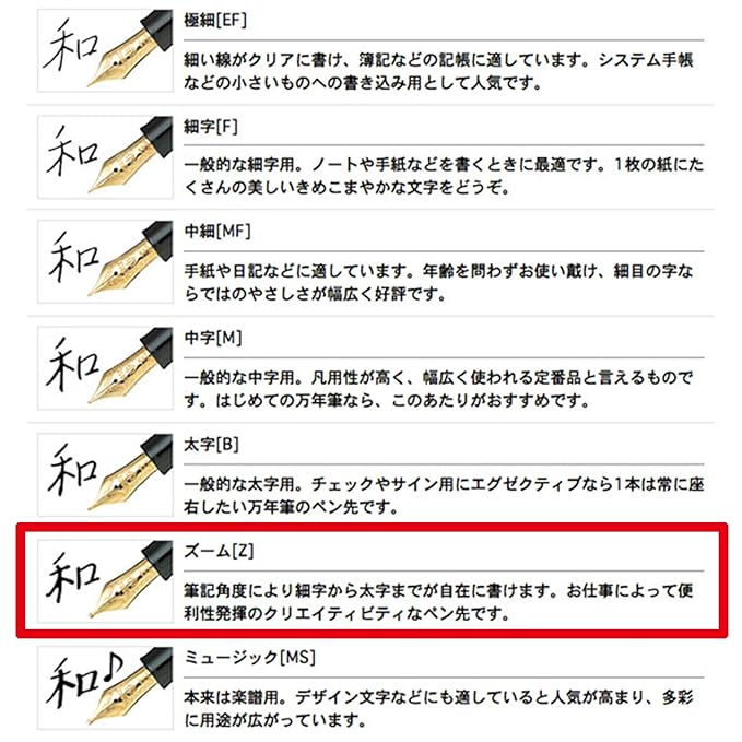 Sailor Pen fountain pen profit 21 zoom 11-2021-720 Black