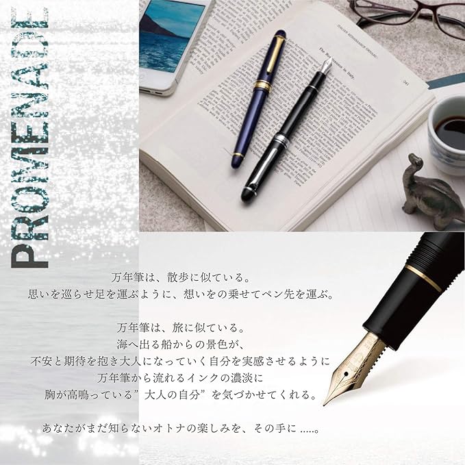 Sailor Promenade 11-1031-320 Fountain Pen (Black, Medium Fine)