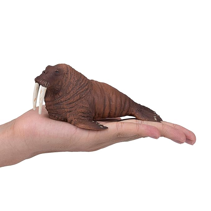Mojo Walrus Realistic International Wildlife Hand-Painted Toy Figure (387209)